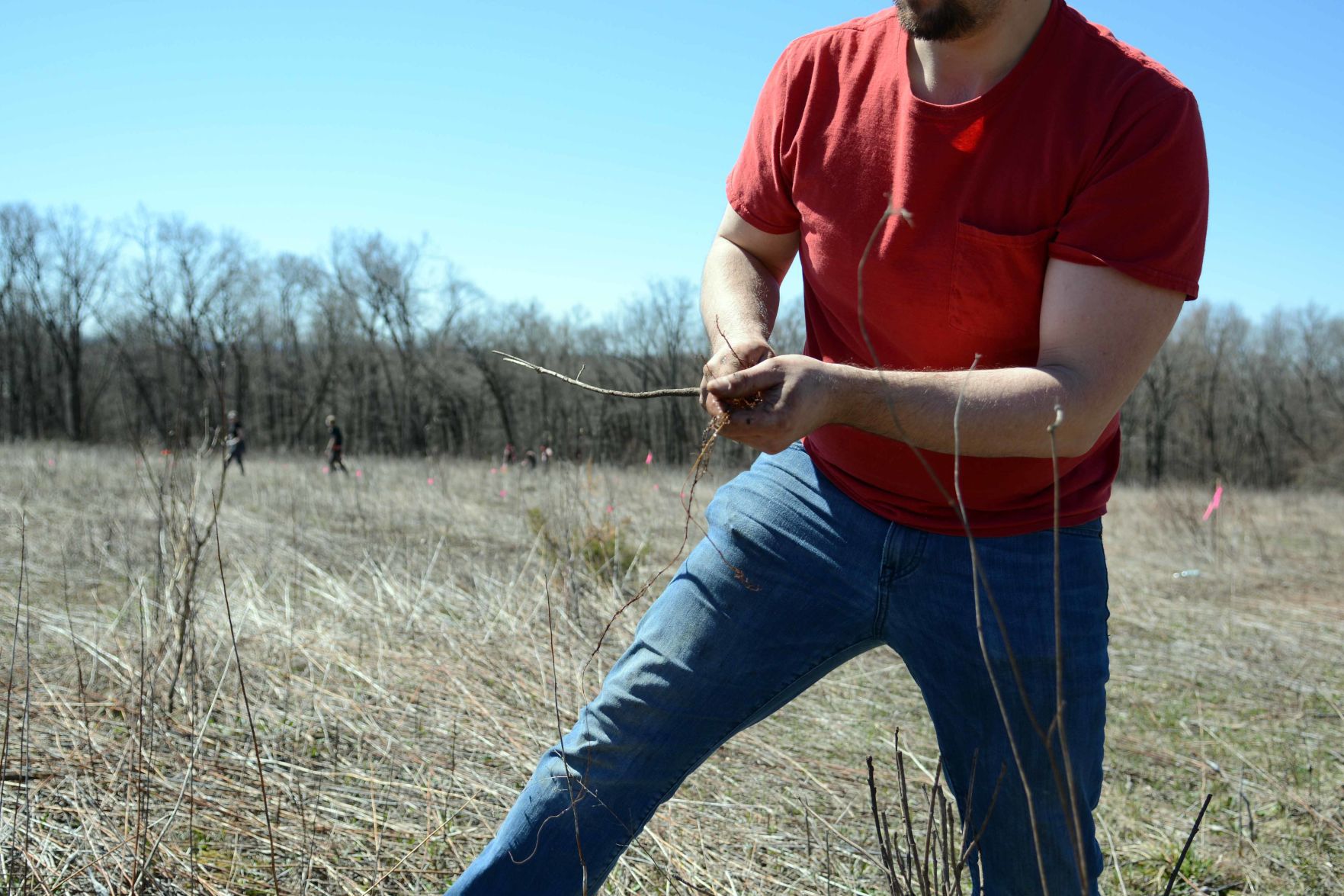 Earth Day tree planting in Baraboo Hills, April 20